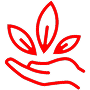 Produits éco-responsables